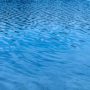Water surface. Blue water background with soft waves. Texture of the water surface. Banner design